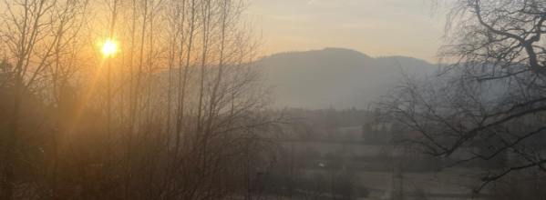 NL 16 Morgenstimmung Natur